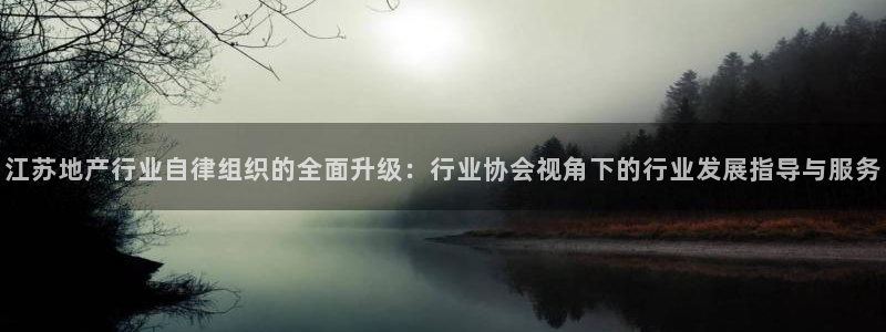 新宝5娱乐多：江苏地产行业自律组织的全面升级：行业协会视角下