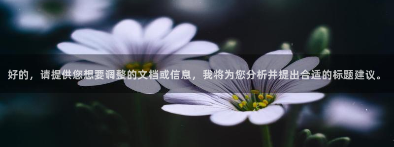 新宝5上70 667：好的，请提供您想要调整的文档或信息，我