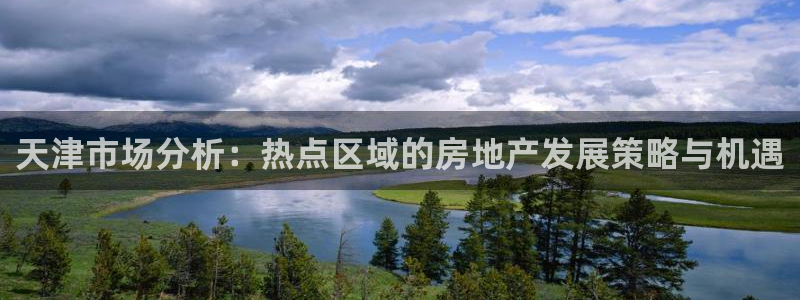 新宝5在哪里：天津市场分析：热点区域的房地产发展策略与机遇