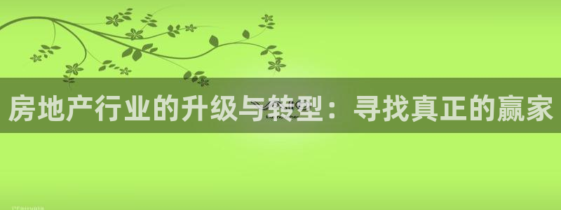 新宝5招商部：房地产行业的升级与转型：寻找真正的赢家