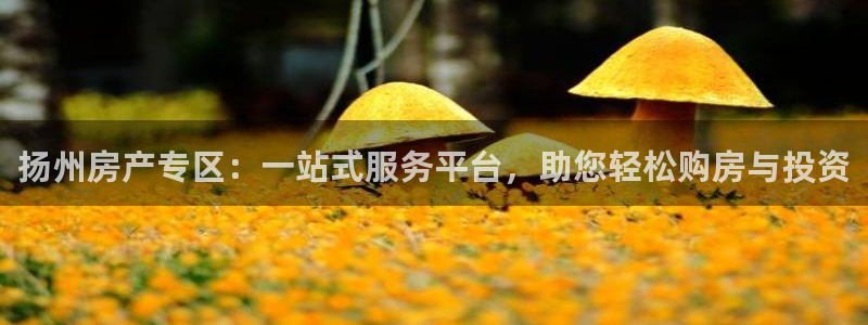 新宝G5：扬州房产专区：一站式服务平台，助您轻松购房与投资