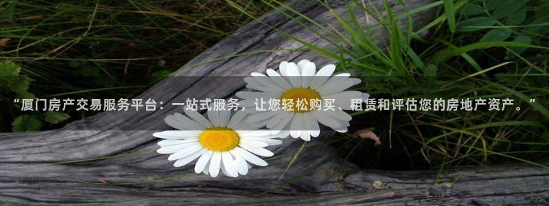 2022新宝骏rs 5：“厦门房产交易服务平台：一站式服务，