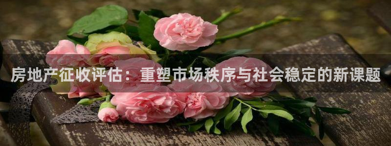 新宝股东王听2 5 5：房地产征收评估：重塑市场秩序与社会稳