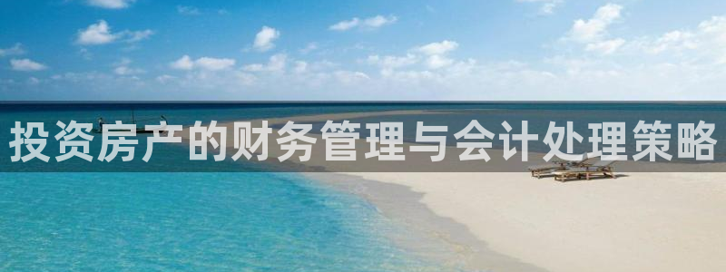 新宝5口67五壹叁八：投资房产的财务管理与会计处理策略