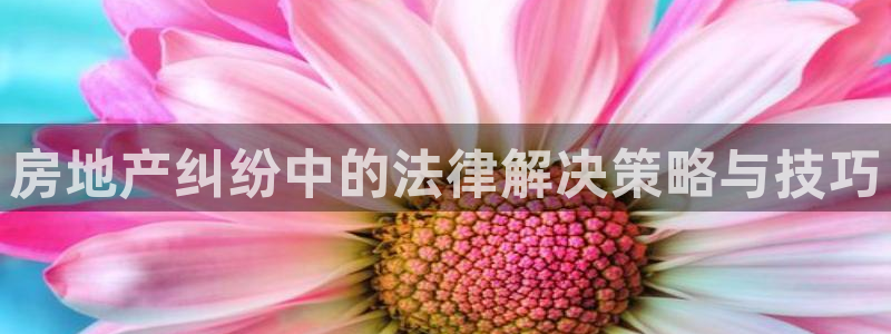 新宝5天：房地产纠纷中的法律解决策略与技巧