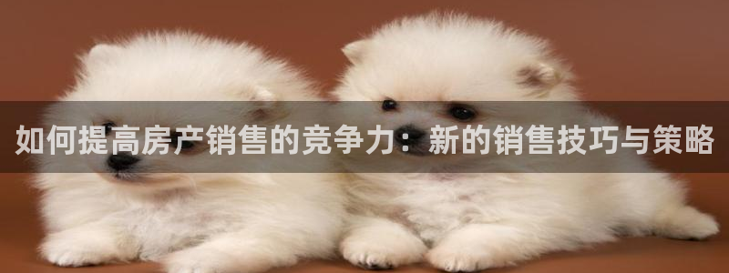 新宝5娱乐然：如何提高房产销售的竞争力：新的销售技巧与策略