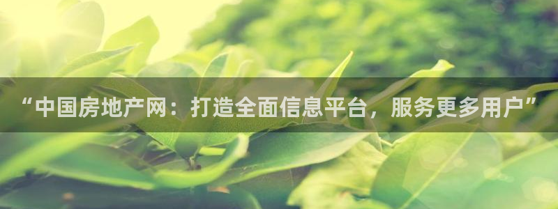 新宝5娱乐平台：“中国房地产网：打造全面信息平台，服务更多用