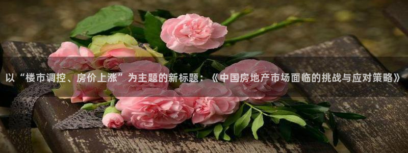 新宝5在哪里：以“楼市调控、房价上涨”为主题的新标题：《中国