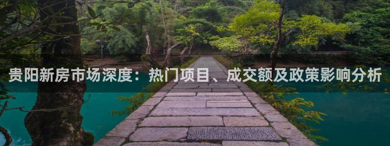 新宝5注册霸：贵阳新房市场深度：热门项目、成交额及政策影响分