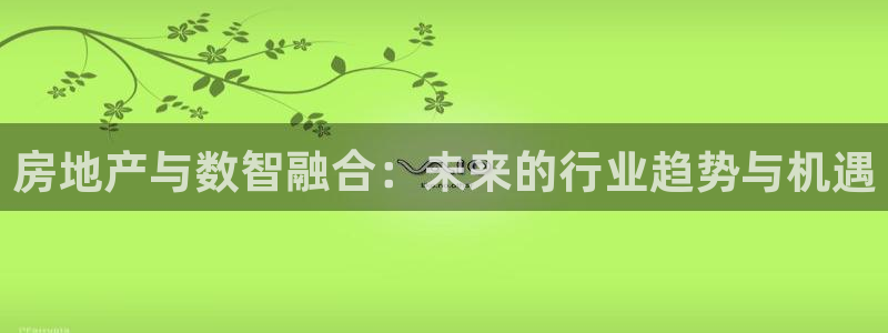 p5r新宝魔：房地产与数智融合：未来的行业趋势与机遇