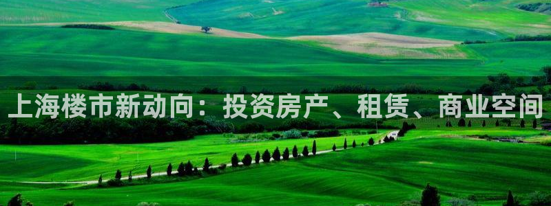 新宝5招商222111：上海楼市新动向：投资房产、租赁、商业