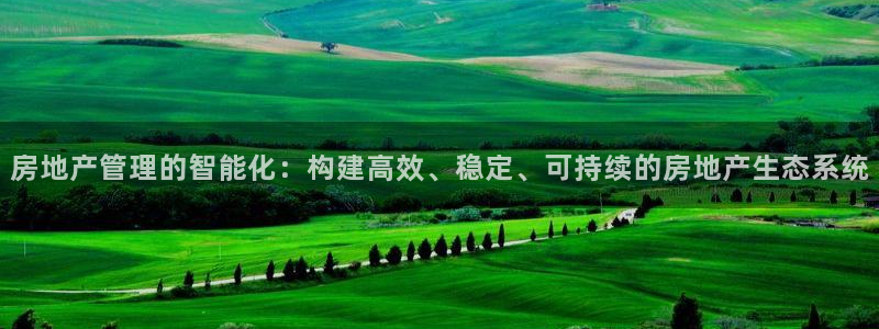 新宝股东张听2 5 5：房地产管理的智能化：构建高效、稳定、