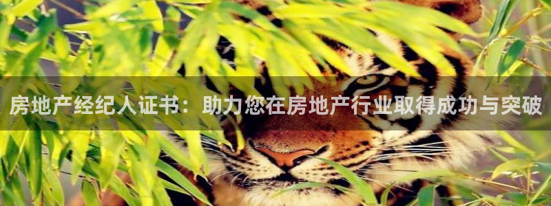 新宝速5：房地产经纪人证书：助力您在房地产行业取得成功与突破