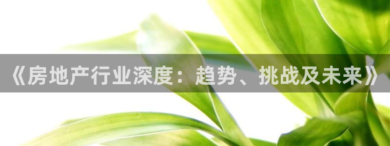 新宝5王问74OOO5：《房地产行业深度：趋势、挑战及未来》