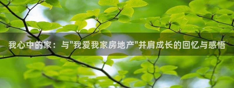 新宝5日谢29999：我心中的家：与\