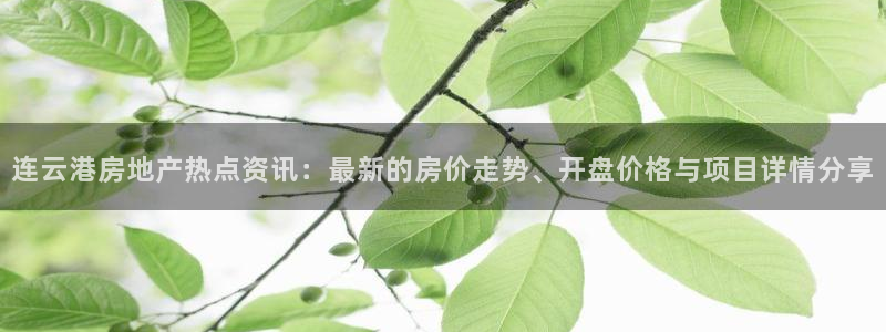 新宝5登录：连云港房地产热点资讯：最新的房价走势、开盘价格与
