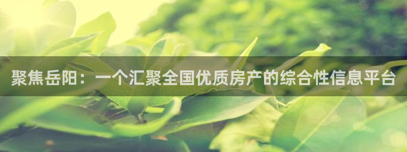 新宝5：聚焦岳阳：一个汇聚全国优质房产的综合性信息平台