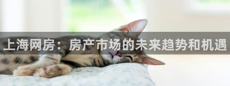 新宝5寂创33300散：上海网房：房产市场的未来趋势和机遇