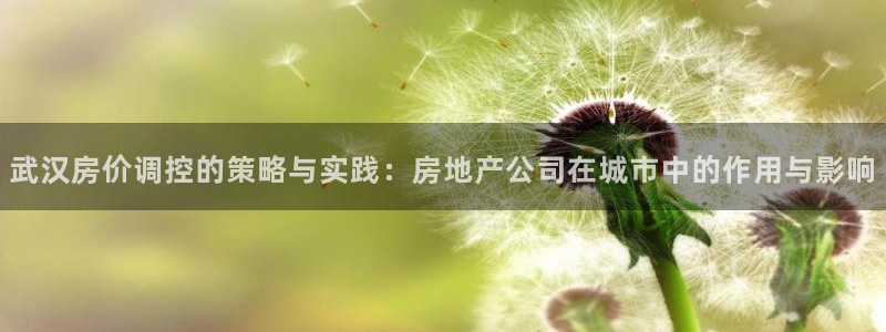 新宝5褚32OO59：武汉房价调控的策略与实践：房地产公司在