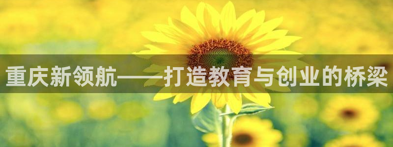新宝5的网址：重庆新领航——打造教育与创业的桥梁