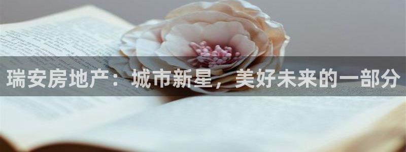 新宝5下载测试：瑞安房地产：城市新星，美好未来的一部分