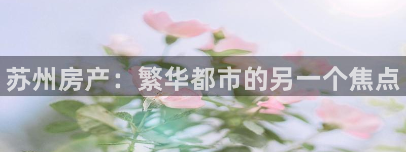 新宝5测速平台登录：苏州房产：繁华都市的另一个焦点