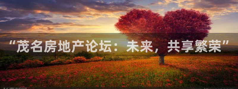 新宝娱乐5：“茂名房地产论坛：未来，共享繁荣”