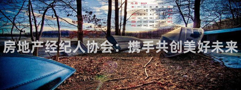 新宝5娱乐主管：房地产经纪人协会：携手共创美好未来