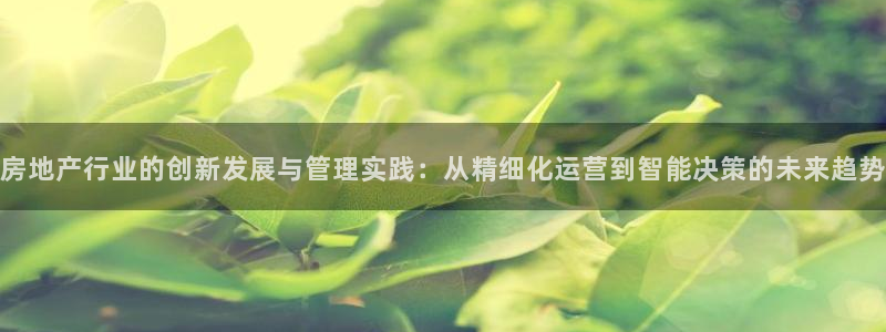 新宝gg5：房地产行业的创新发展与管理实践：从精细化运营到智