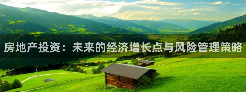 新宝5官方登录入口：房地产投资：未来的经济增长点与风险管理策