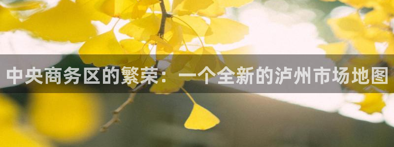 新宝5官方下载地址：中央商务区的繁荣：一个全新的泸州市场地图
