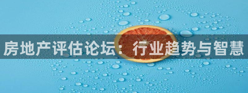 新宝5怎么下载到桌面：房地产评估论坛：行业趋势与智慧
