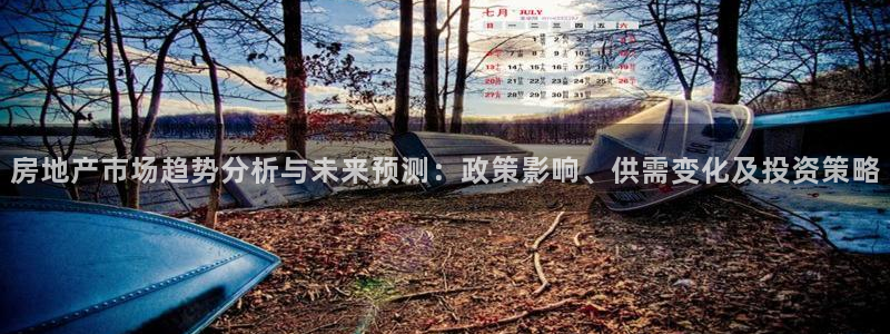 新宝5台卡：房地产市场趋势分析与未来预测：政策影响、供需变化
