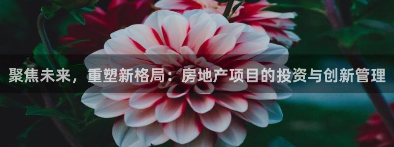 p5r新宝魔：聚焦未来，重塑新格局：房地产项目的投资与创新管