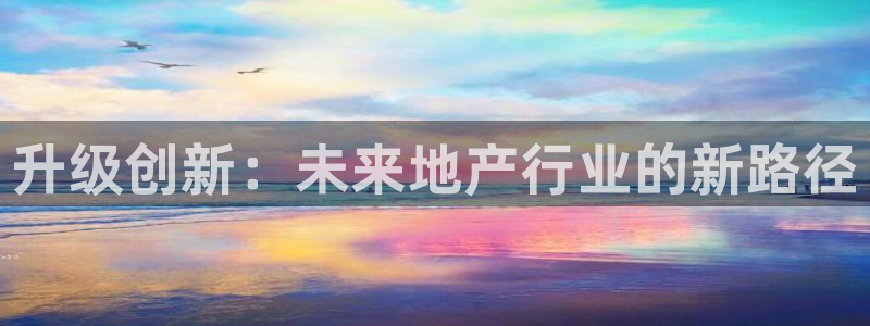 新宝xb5：升级创新：未来地产行业的新路径