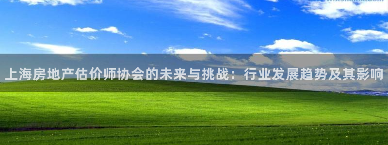 新宝5挂机软件