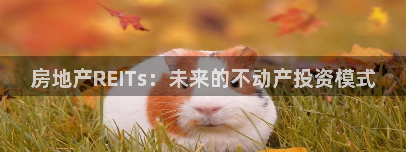 新宝5注册账号：房地产REITs：未来的不动产投资模式