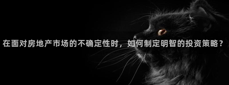 新宝h2O5O5O：在面对房地产市场的不确定性时，如何制定明