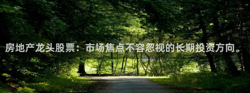 新宝5系列：房地产龙头股票：市场焦点不容忽视的长期投资方向。
