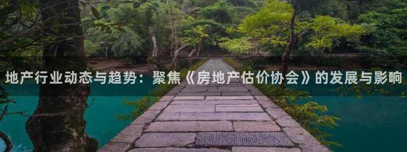 新宝rc_5w：地产行业动态与趋势：聚焦《房地产估价协会》的