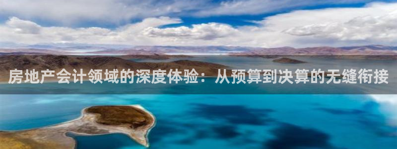 新宝5浗维33 300：房地产会计领域的深度体验：从预算到决