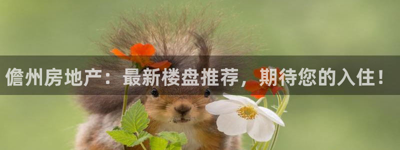 新宝5娱乐网址：儋州房地产：最新楼盘推荐，期待您的入住！