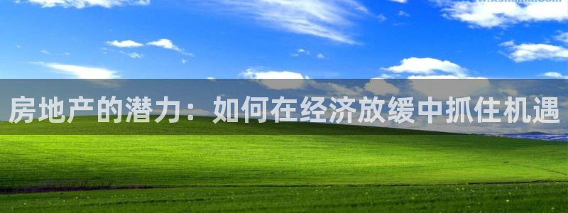 新宝5娱乐代理：房地产的潜力：如何在经济放缓中抓住机遇
