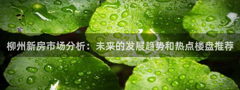 新宝5平台咋样：柳州新房市场分析：未来的发展趋势和热点楼盘推