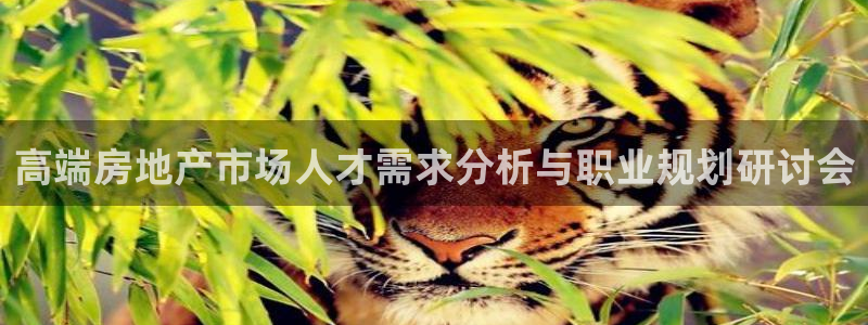 新宝5电脑登录网址：高端房地产市场人才需求分析与职业规划研讨