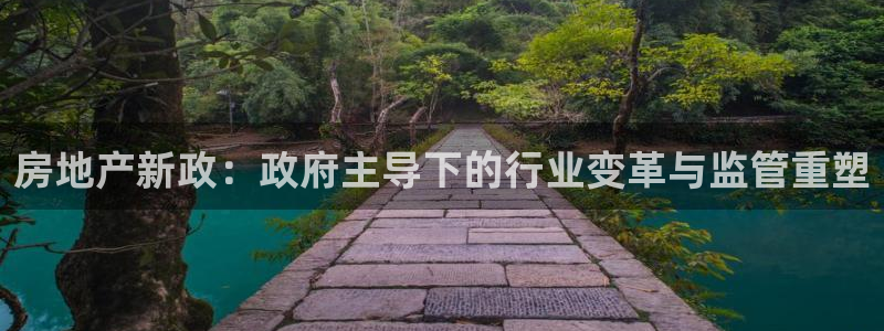 新宝5在哪里：房地产新政：政府主导下的行业变革与监管重塑