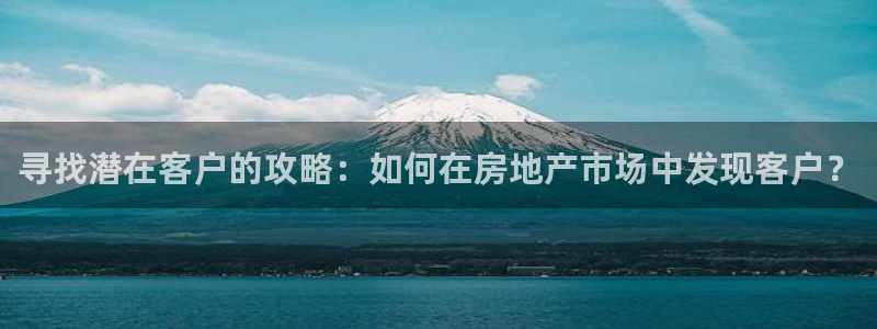 新宝5app：寻找潜在客户的攻略：如何在房地产市场中发现客户