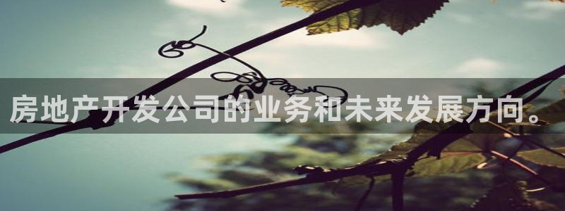 新宝5五：房地产开发公司的业务和未来发展方向。
