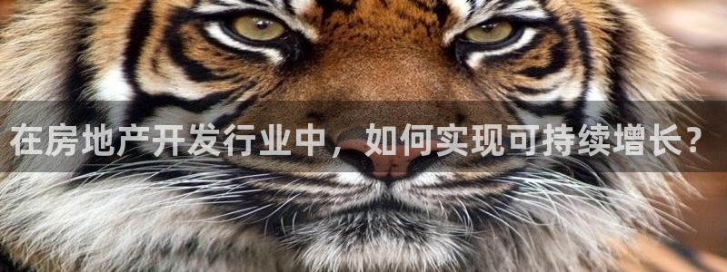 新宝5上来77542：在房地产开发行业中，如何实现可持续增长