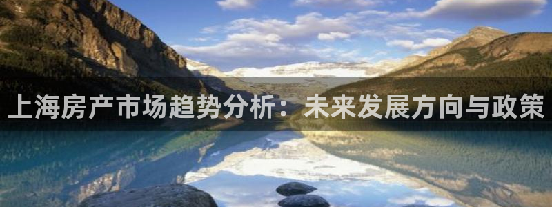 新宝5电脑：上海房产市场趋势分析：未来发展方向与政策